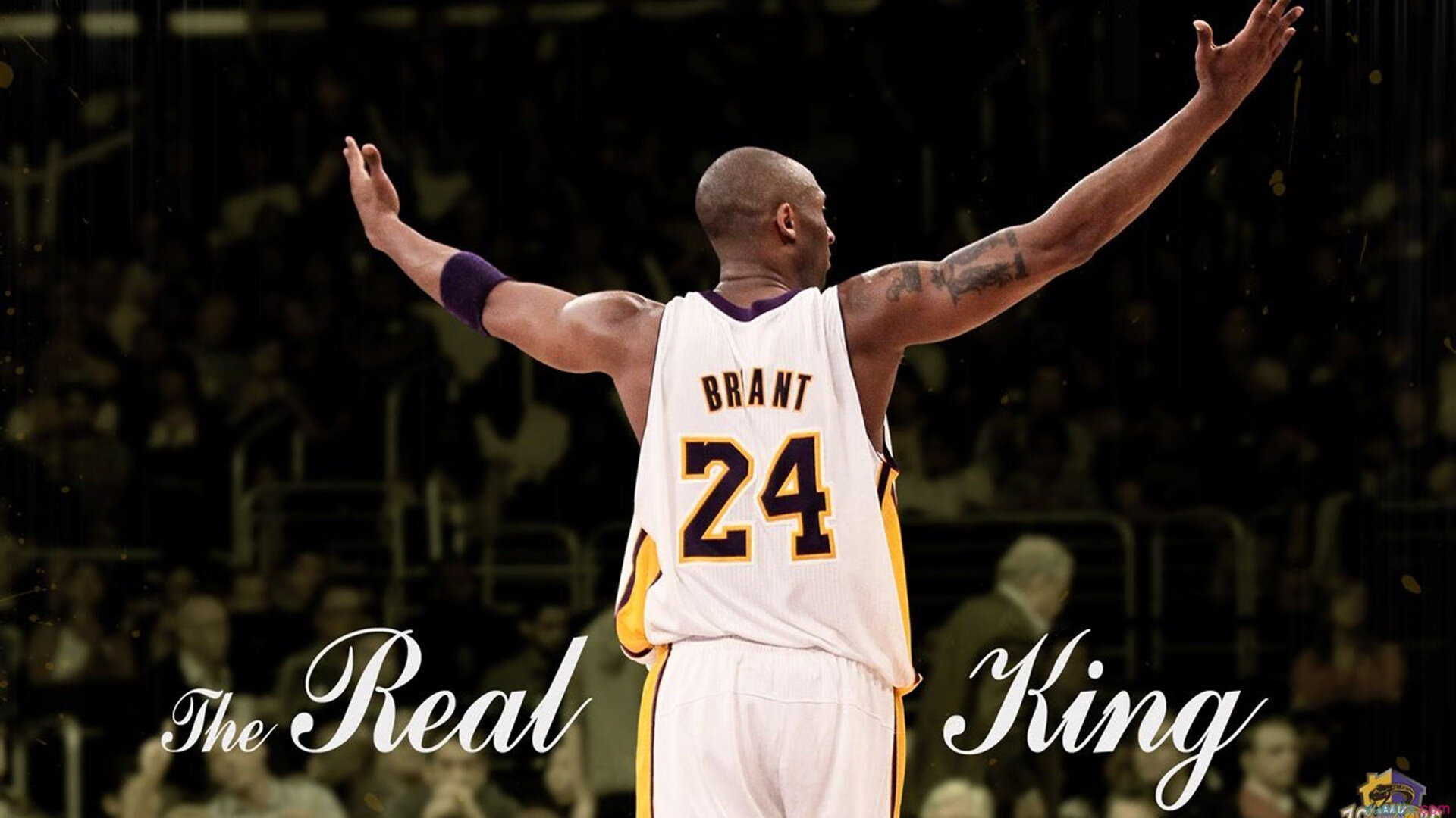 伊朗球员自带羊毛披肩登场,被赞“中东骑士”