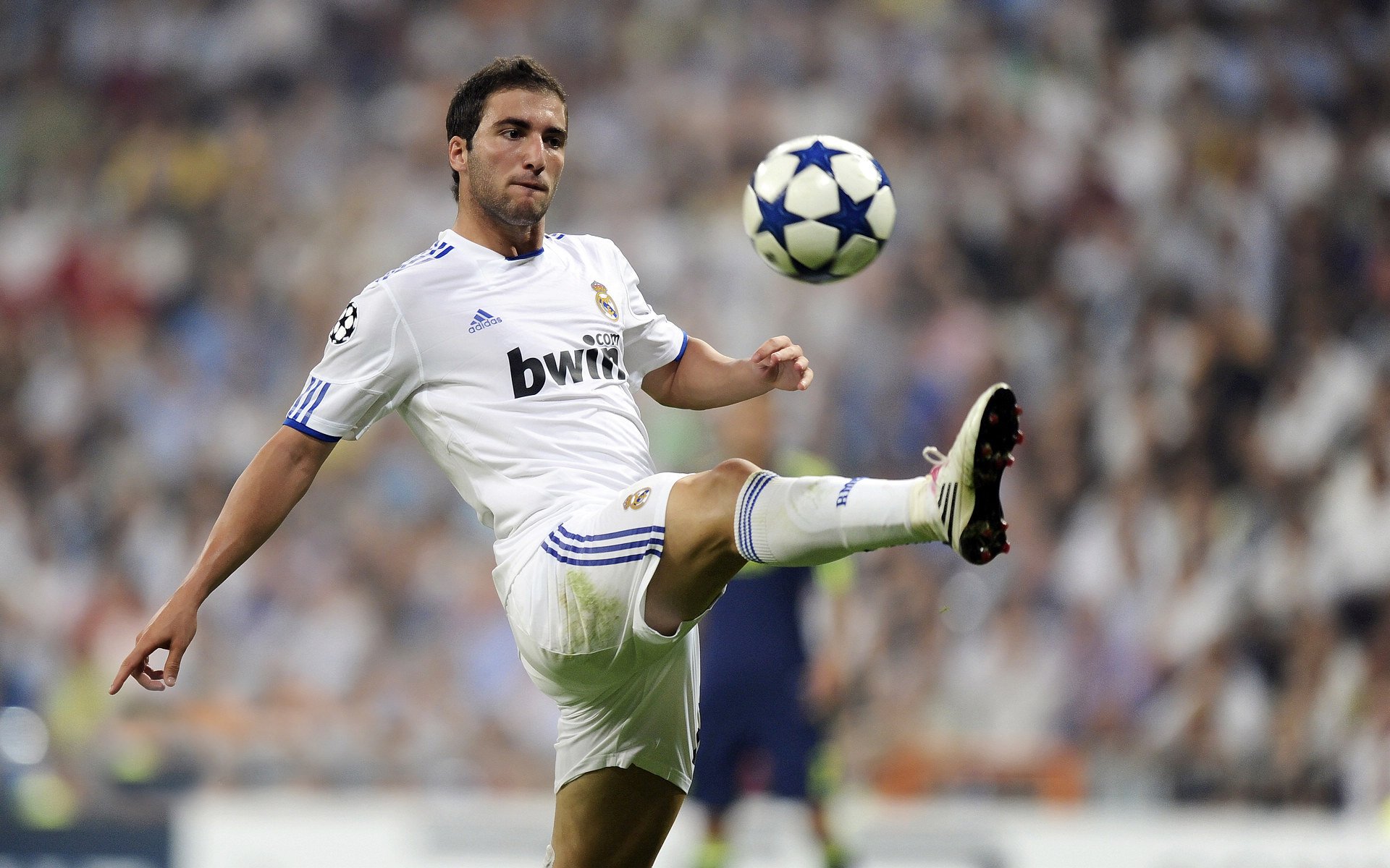 球员职业发展道路模糊不清，职业球员的定义